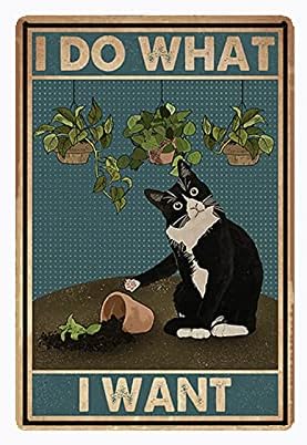 Vintage Metal Sign Cat Poser I - Home Bathroom Quotes review and price